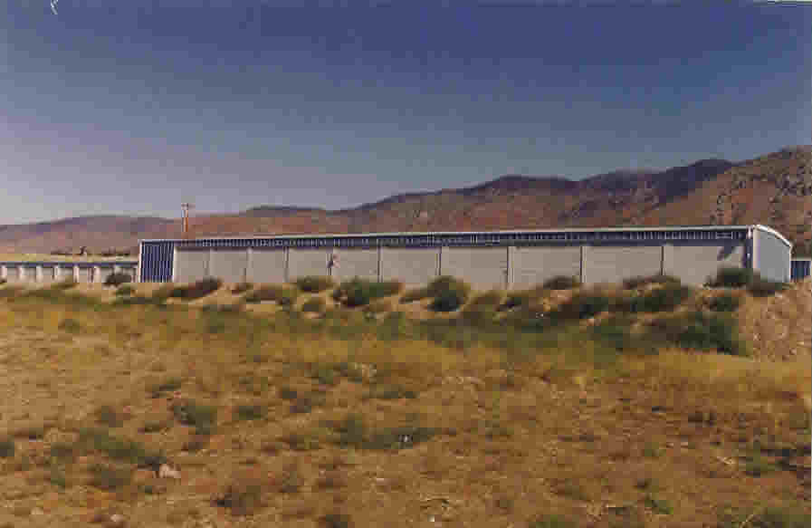 Img9